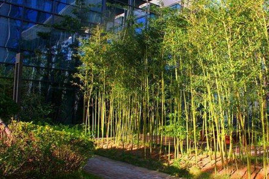 Zhongjian Yanqi Lake View Hotel Peking Exterior foto